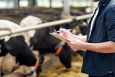 Часть сельхозпроизводителей освободили от налога